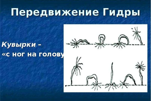 Kraken ссылка зеркало рабочее